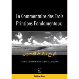 Le Commentaire Des Trois...