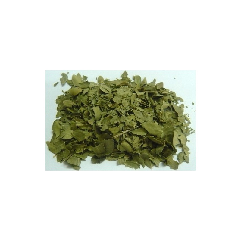 Feuilles de Jujubier - Sidr - 50g - Nigelle Source