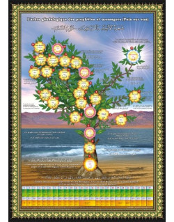 Poster : Arbre Généalogique des Prophètes et des Messagers - Arabe - Français