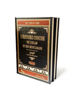 l'Histoire Concise de l'Islam et des Musulmans - 2 Vol - Amir Abd Al Aziz - Edition Sana et Ibn Hazm