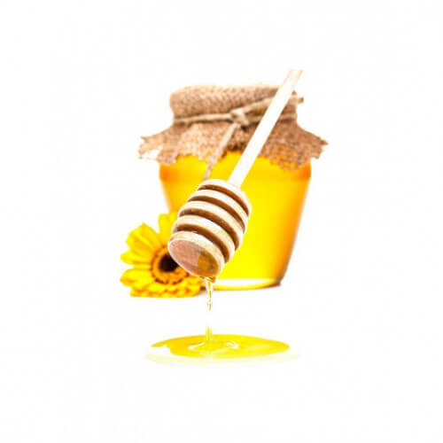 Queen Bee - Musc Tahara Aromatisé Miel -Parfum Végétal Intime - Note 33 - 12 ml Queen Bee - Musc Tahara Aromatisé Miel -Parfum Végétal Intime - Note 33 - 12 ml