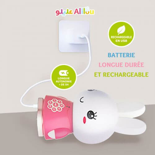 La Petite Lapinou Mouslim Rose : Alilou - Jouet et Veilleuse Ludo-éducatif - Haute Qualité de Son + 80 Minutes d'Audio - Led 7 C