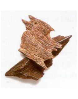 Cambodge Écorce de OUD - 9 gr