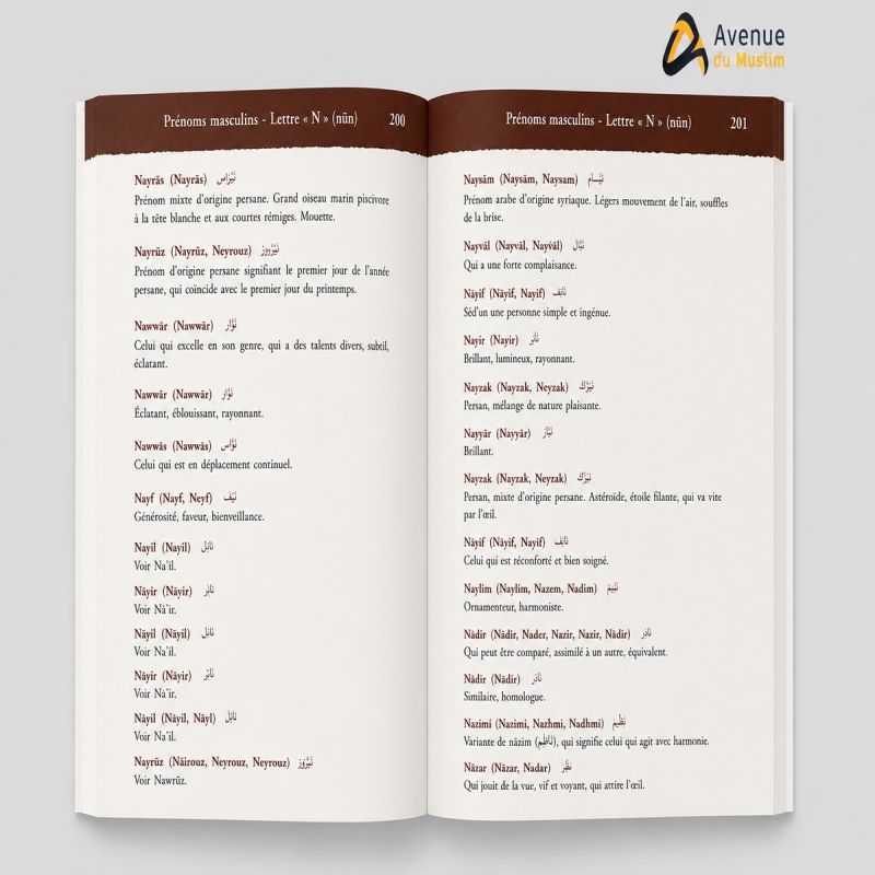 Dictionnaire des prénoms arabes et musulmans (Plus de 4000 prénoms)