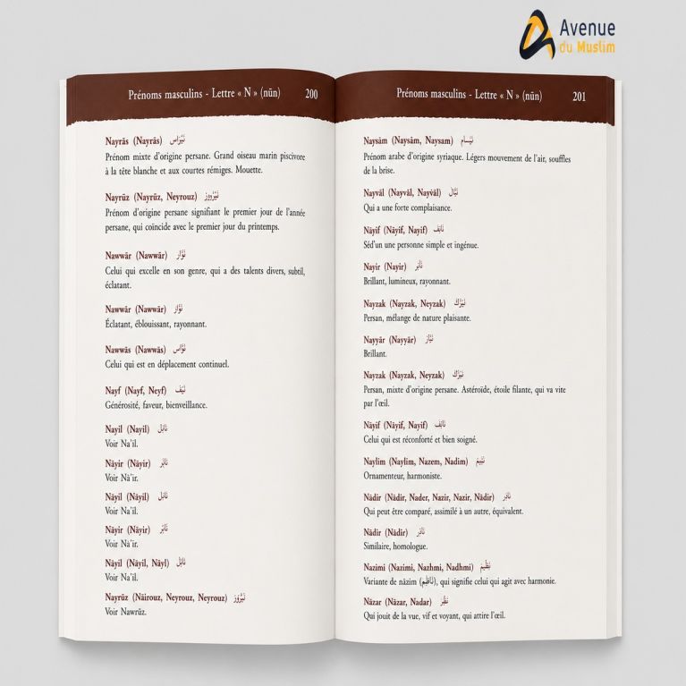 Dictionnaire des prénoms arabes et musulmans (Plus de 4000 prénoms)